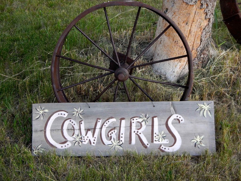 Cowgirls image